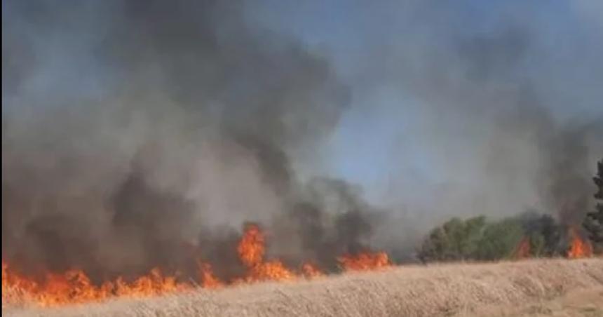 Bomberos de Luiggi combatieron un incendio en un campo 