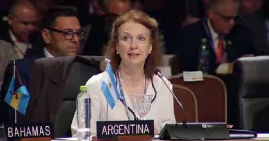 La Argentina cuestionoacute ante la OEA que no se condene el fraude en Venezuela