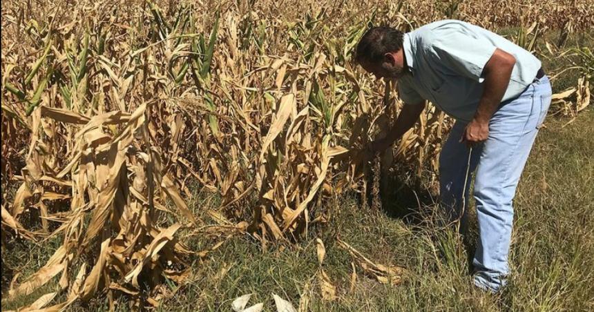 Alerta en el campo por la proyeccioacuten del clima para la primavera