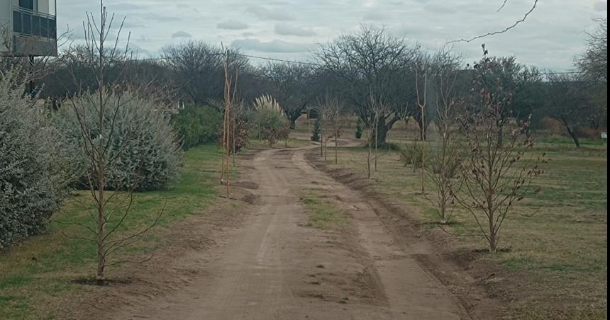 Denuncian a un funcionario por intervencioacuten del espacio puacuteblico