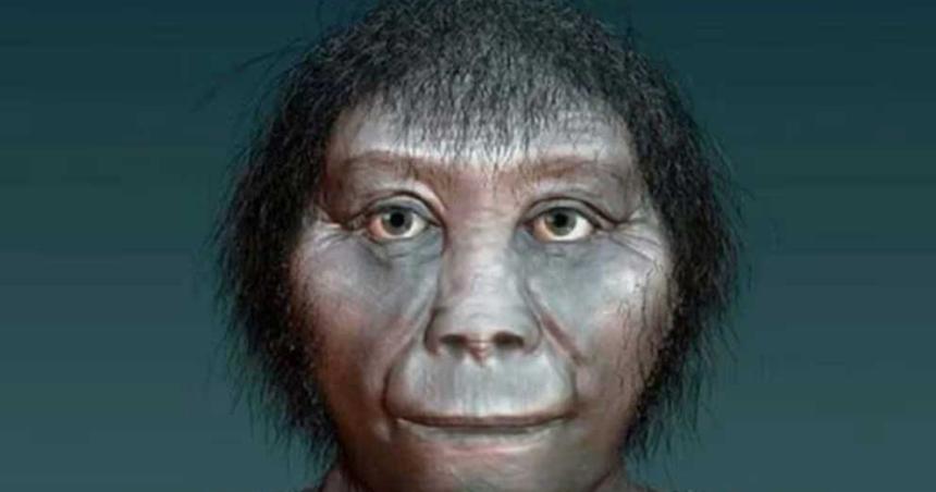 Nuevos descubrimientos revelaron que un ancestro humano era maacutes bajo que un hobbit
