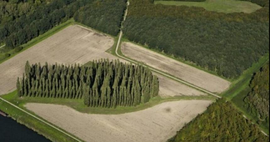 La Catedral Verde un edificio hecho de aacuterboles que combina arte y naturaleza