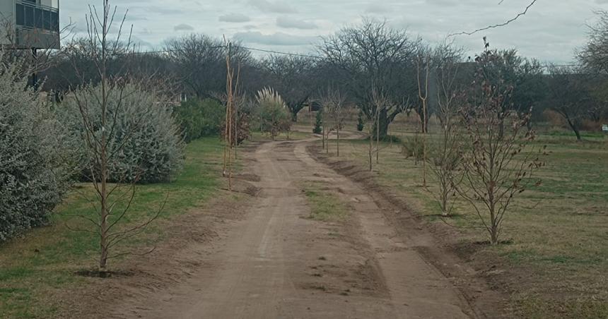 Al final Iviglia da marcha atraacutes y acepta que retiren las plantas