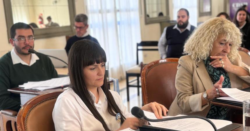 Aprobaron proyecto por los caballos sueltos