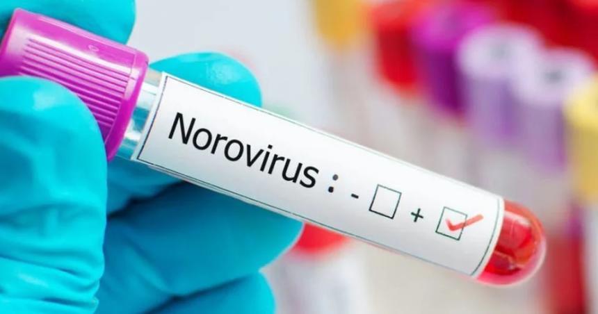Queacute es el norovirus la enfermedad que afectoacute a 180 estudiantes en Bariloche