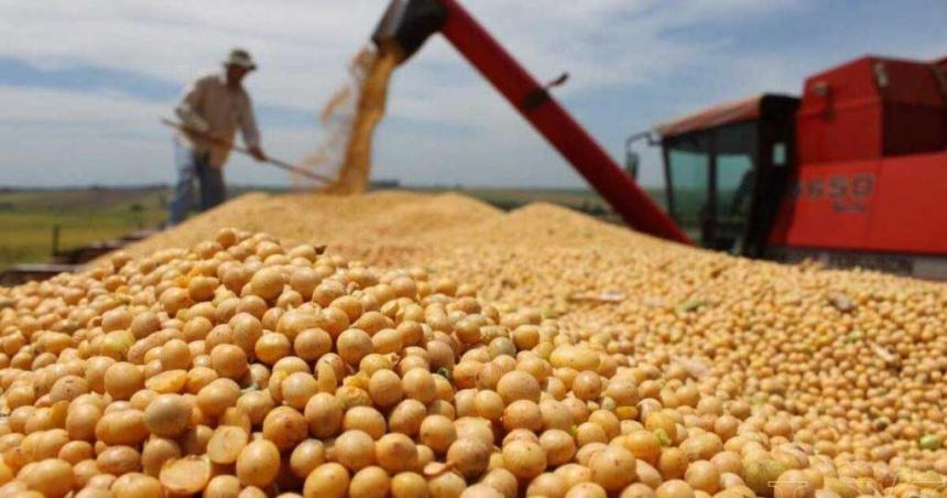 La agroindustria ya liquidoacute maacutes de USD 16000 millones y se espera que acelere la venta de soja