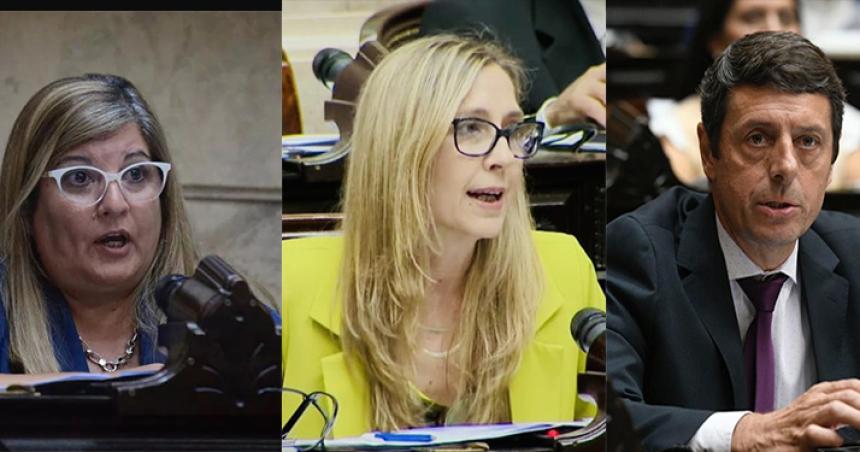 El voto de los pampeanos en la sesioacuten por el veto de Milei 