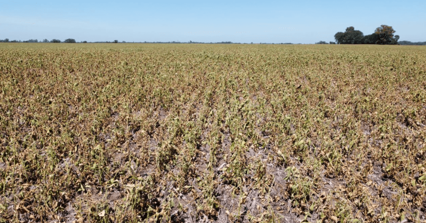 Extienden emergencia agropecuaria en departamentos afectados por la sequiacutea