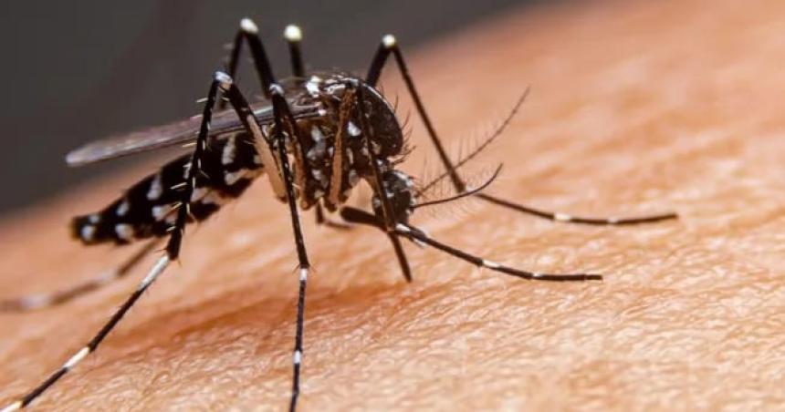 Salud confirmoacute un caso de dengue en General Pico