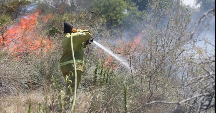 Corrientes tambieacuten estaacute bajo fuego- una maestra muerta y miles de hectaacutereas arrasadas