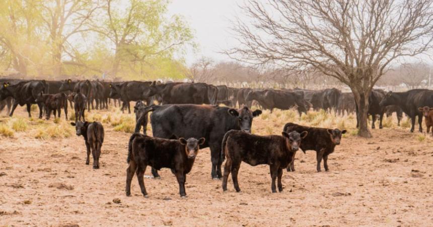 Tras 60 diacuteas Nacioacuten homologoacute la emergencia agropecuaria en La Pampa