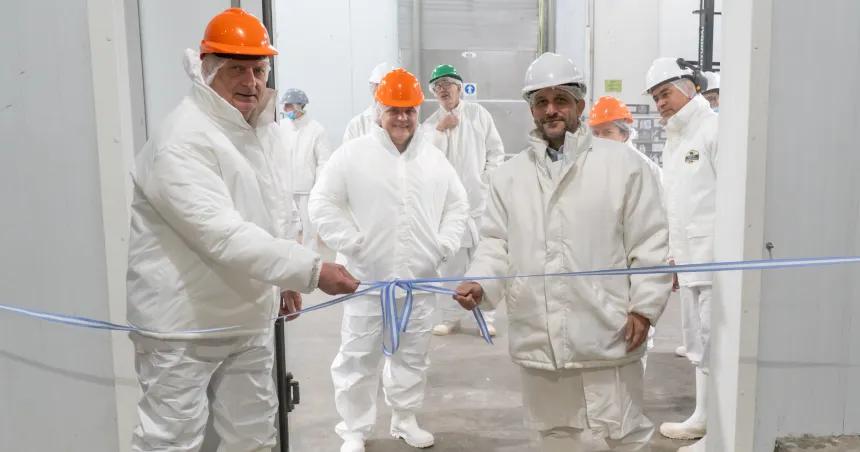 Frigoriacutefico local reclama habilitar la importacioacuten y eliminar retenciones