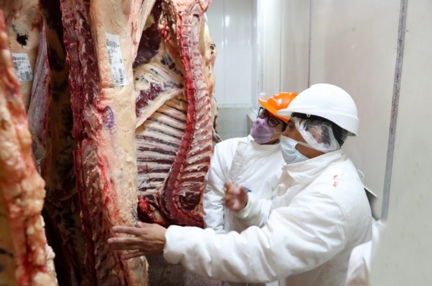 SENASA abrioacute la puerta al ingreso de asado con hueso en el sur