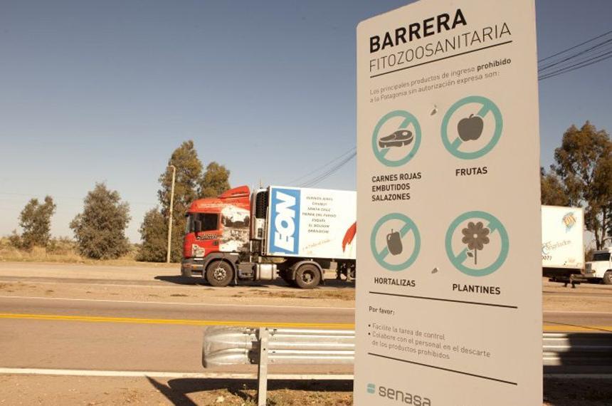 Barrera sanitaria- el SENASA postergoacute por 90 diacuteas el ingreso de asado con hueso en el sur