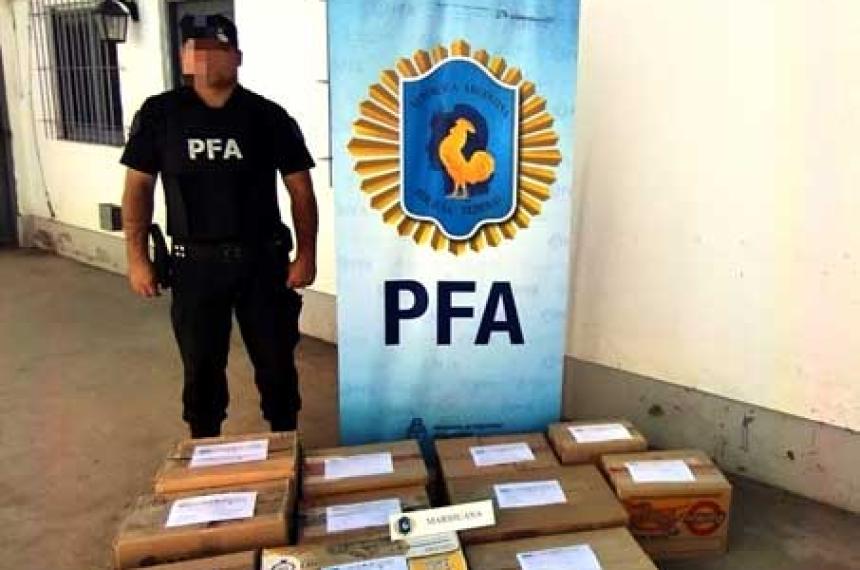 Allanan vivienda en General Roca y detienen a una persona por cultivo de marihuana