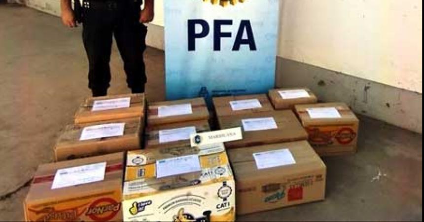 Allanan vivienda en General Roca y detienen a una persona por cultivo de marihuana