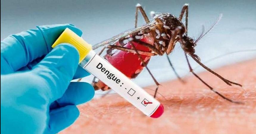 Ya son 63 los casos de dengue confirmados en La Pampa
