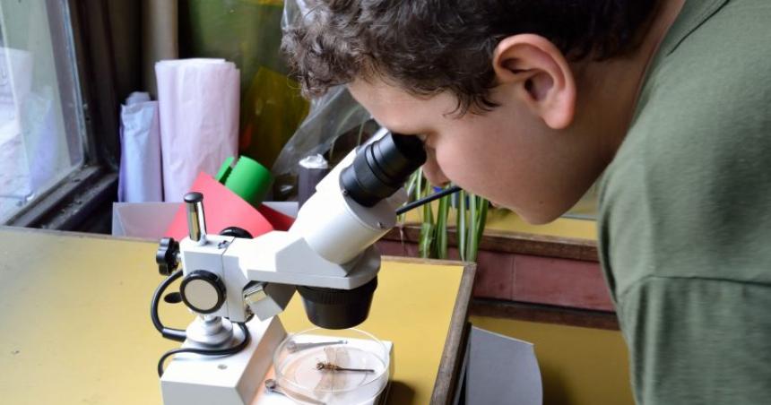 Impulsan el funcionamiento de clubes de ciencia