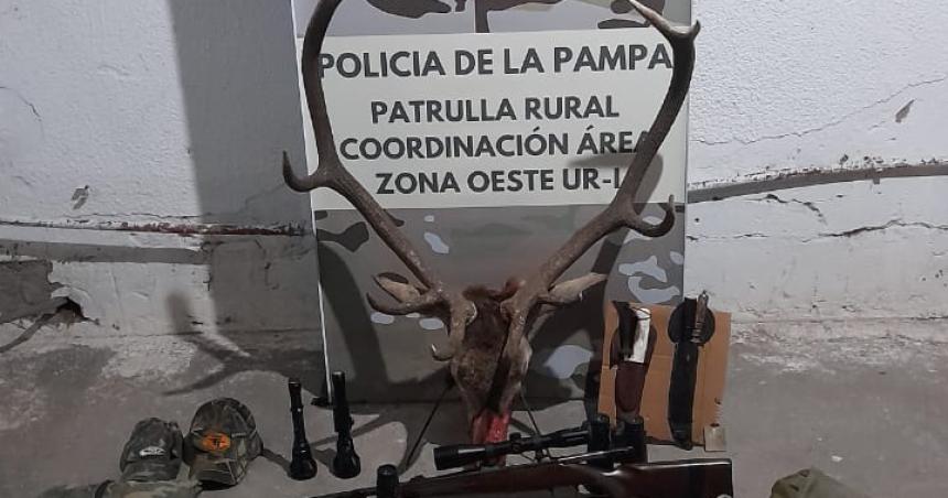 Hay cinco detenidos- denuncian que mataron un ciervo en un coto de caza