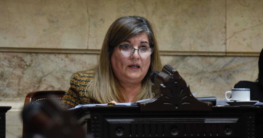 Coli reclamo en el Congreso por el abandono absoluto de las rutas nacionales