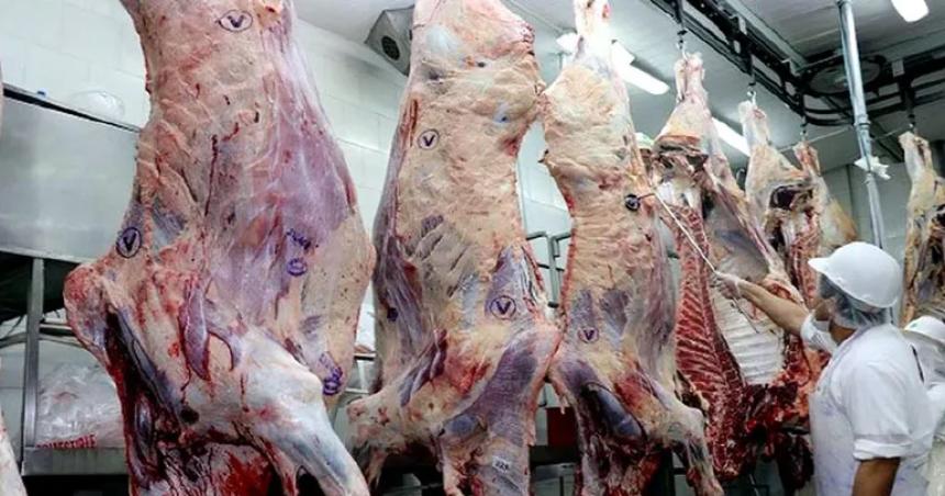 Barrera Sanitaria- Nacioacuten citoacute a cinco provincias patagoacutenicas y dejoacute afuera a La Pampa
