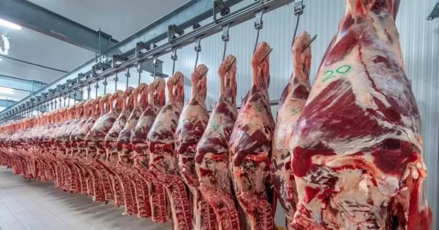 Coacutemo afectan los aranceles de Estados Unidos a las exportaciones de La Pampa