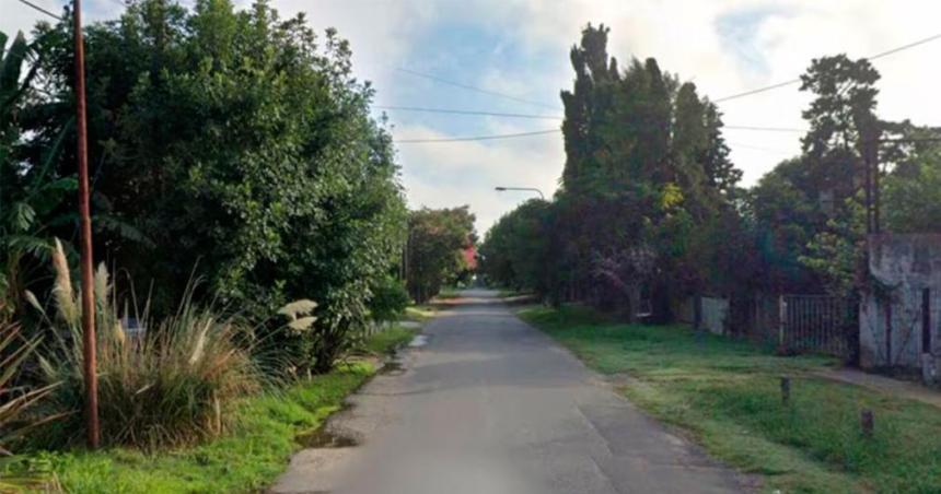 Intentaron asaltarla en la puerta de su casa pero sus perros la defendieron