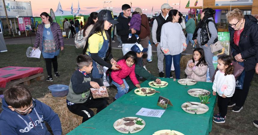 Intensa actividad y mucho puacuteblico en el segundo diacutea de Expo Pymes 2025