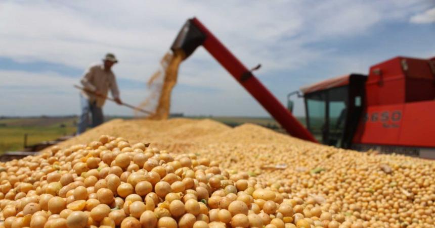 Los exportadores le ponen precio al doacutelar para comenzar a liquidar