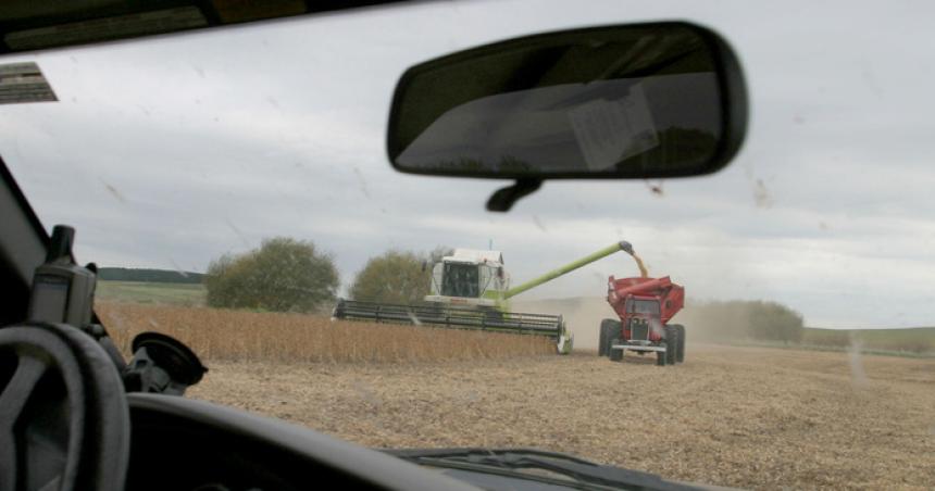 Malestar en el agro por el apriete de Milei para que liquiden sus cosechas