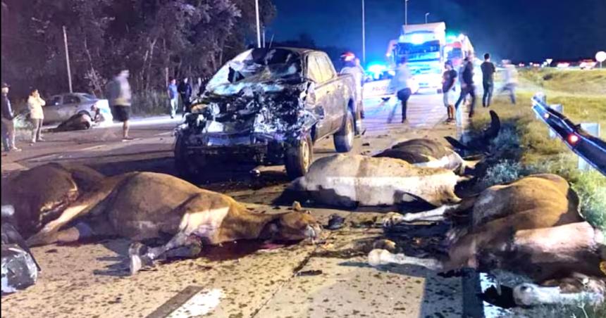 Choque entre un auto y un grupo de caballos- murieron una mujer y nueve animales
