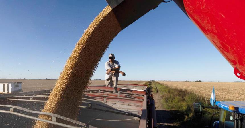 La Agriacutecola dice que la presioacuten de Milei no cae bien no corresponde