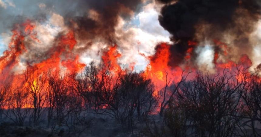 Maacutes de 22 millones de multa por provocar un incendio que afectoacute 1600 hectaacutereas