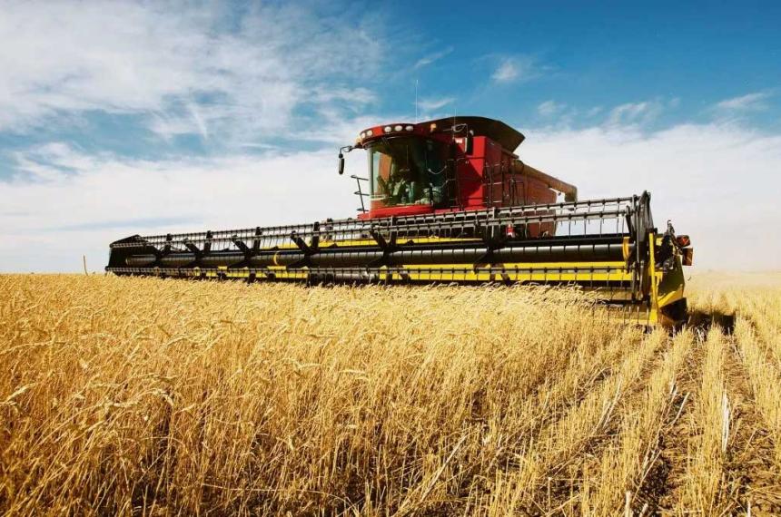 La liquidacioacuten de agro exportadores subioacute 32-en-porciento- en abril en forma interanual