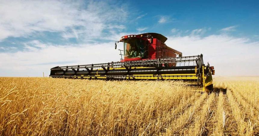 La liquidacioacuten de agro exportadores subioacute 32-en-porciento- en abril en forma interanual