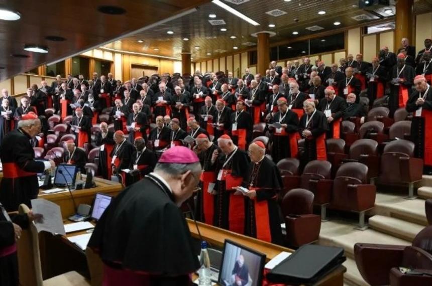 Cardenales intensifican los preparativos para el Coacutenclave en la Novena Congregacioacuten General