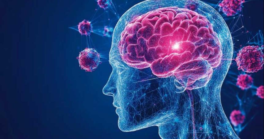 Cientiacuteficos britaacutenicos utilizaron tejido cerebral humano vivo para buscar una cura contra la demencia