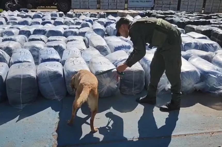 Millonario golpe al narcotraacutefico en Coacuterdoba- incautan 7 mil kilos de hojas de coca