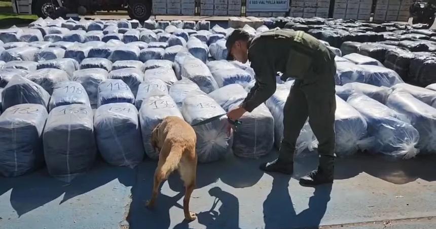 Millonario golpe al narcotraacutefico en Coacuterdoba- incautan 7 mil kilos de hojas de coca