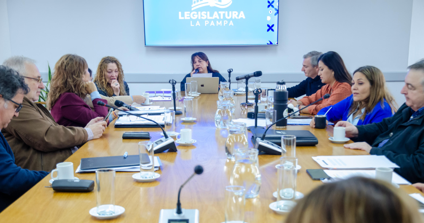 Auditoriacuteas a programas sociales- dictamen favorable