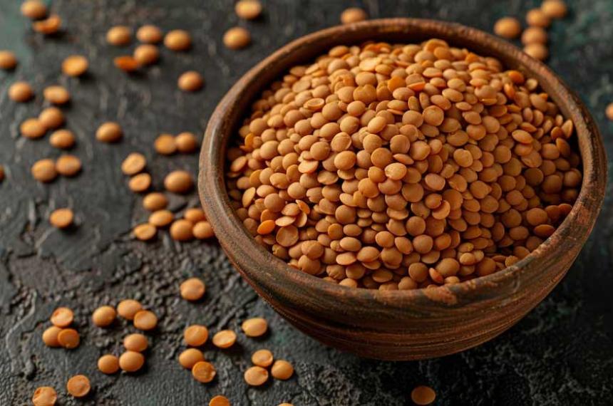 El valor nutricional de las lentejas- por queacute son aliadas contra la anemia