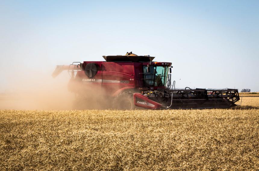 Trigo 2025- eficiencia en la nutricioacuten y gestioacuten del suelo para capitalizar un escenario hiacutedrico oportuno