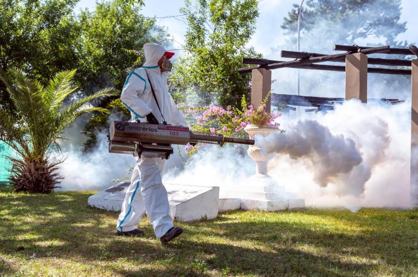 En el antildeo La Pampa ya sumoacute 175 contagios de dengue