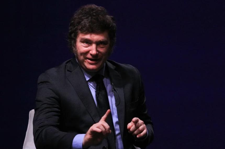 Milei quiere que nadie persiga a quienes utilicen los doacutelares del colchoacuten