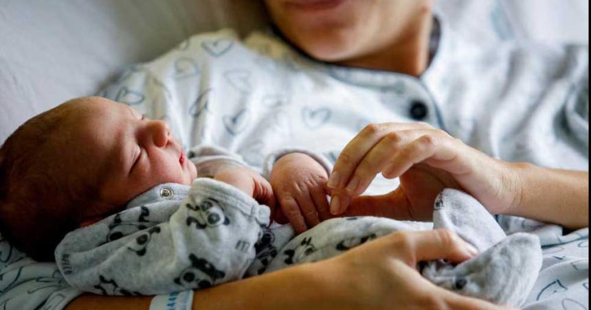 La tasa de natalidad cayoacute 40-en-porciento- en Argentina y los hogares sin hijos ya son mayoriacutea