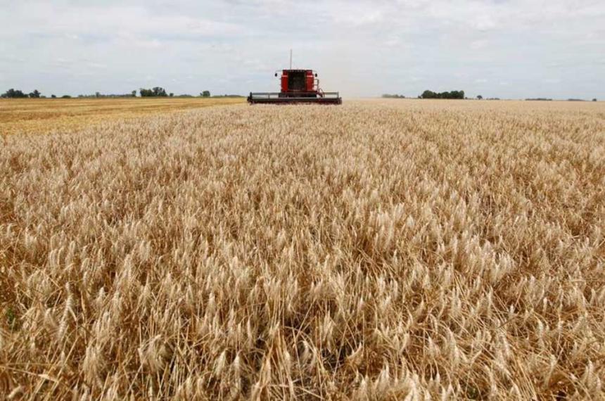 El Gobierno extendioacute la baja de retenciones para el trigo y cebada y dejoacute afuera a la soja