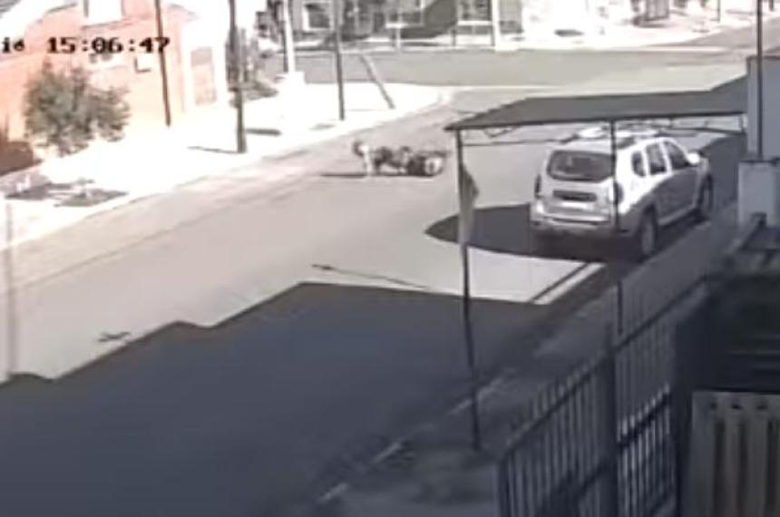 Motochorros arrebataron una cartera a un motociclista y la hicieron caer