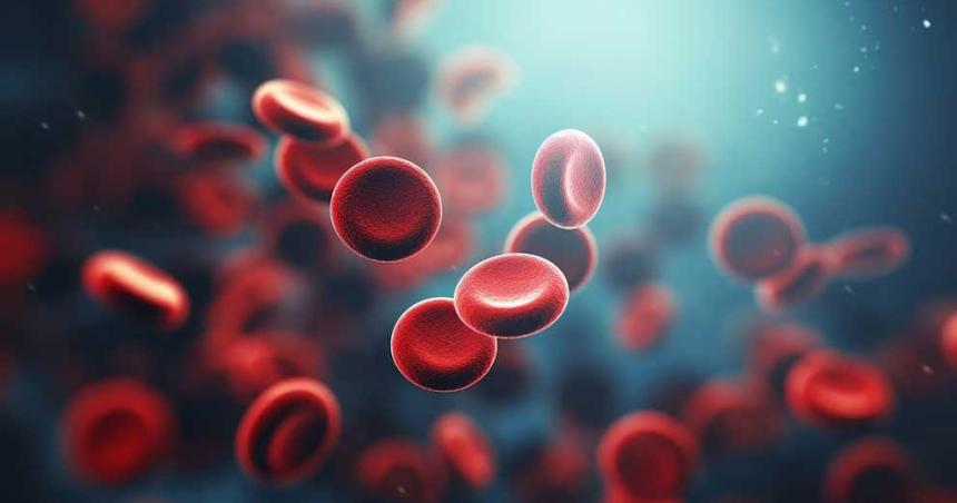 Descubren coacutedigos de barras naturales en el ADN que predIcen el envejecimiento de la sangre