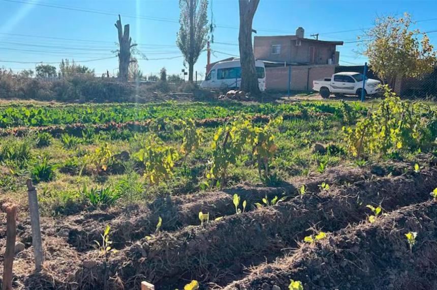 Echaron a un empleado municipal por tener sexo con una compantildeera