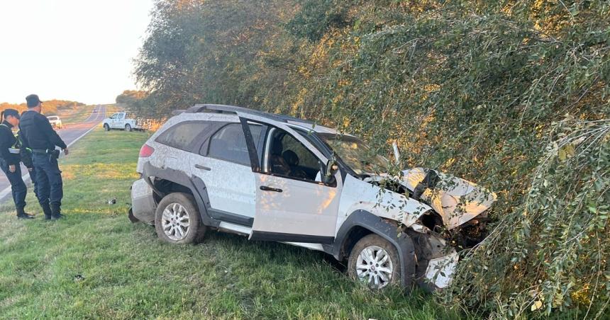 Esquivoacute a un animal en la ruta y chocoacute contra un aacuterbol